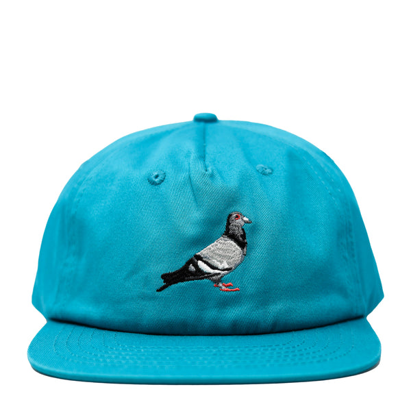 Pigeon Twill Cap | Teal