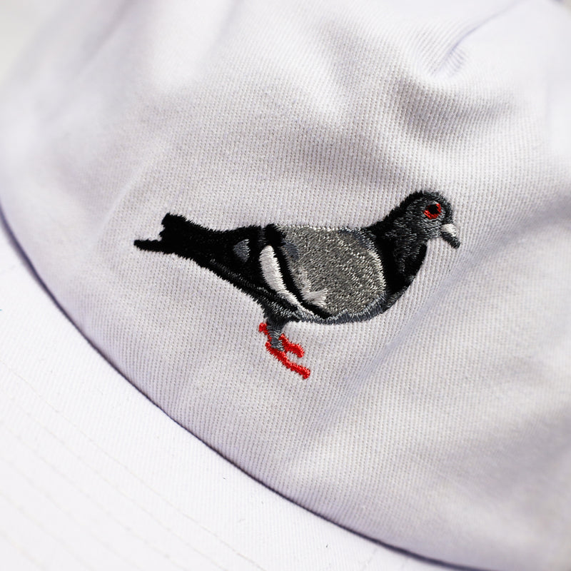 Pigeon Twill Cap | White