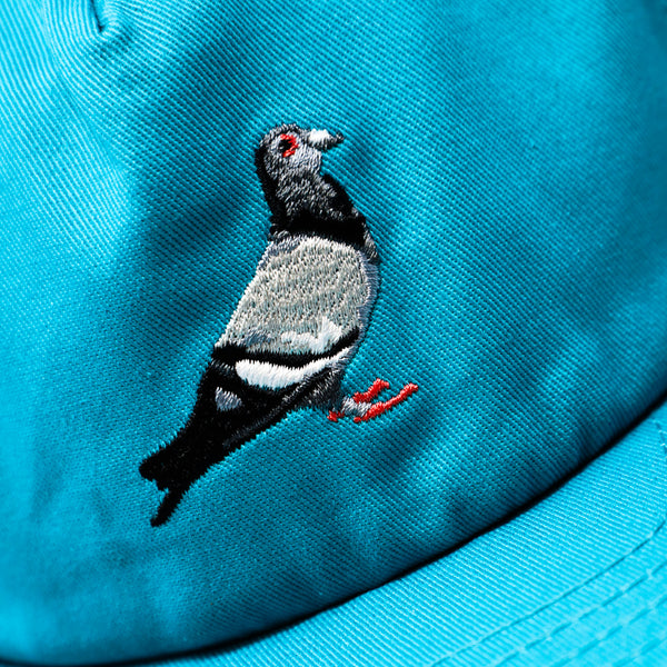 Pigeon Twill Cap | Teal