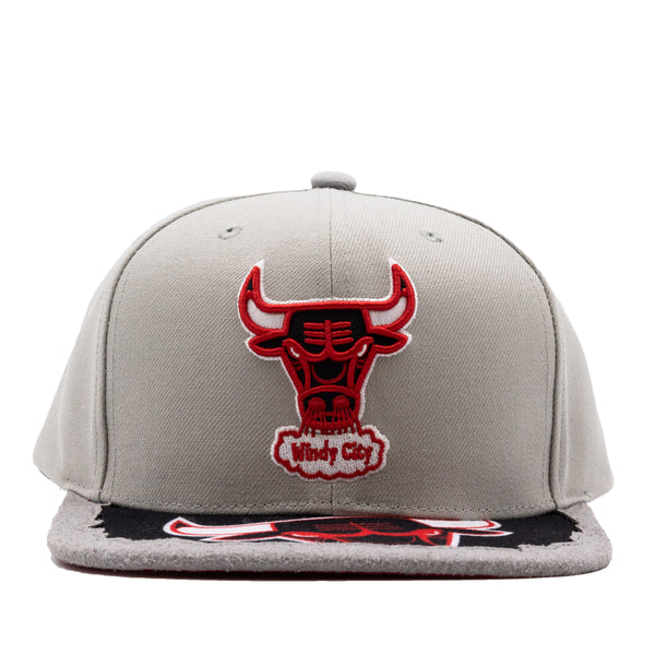 NBA Munch Time Snapback HWC Bulls | Grey